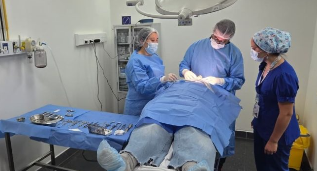 Sonrisas que vuelven: estrategia regional beneficiará a más de 270 pacientes odontológicos en O’Higgins